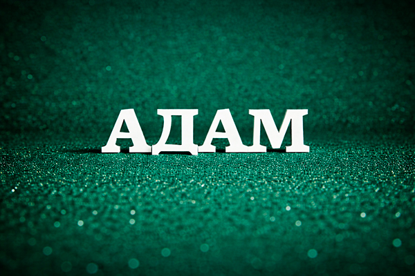мужское имя Адам