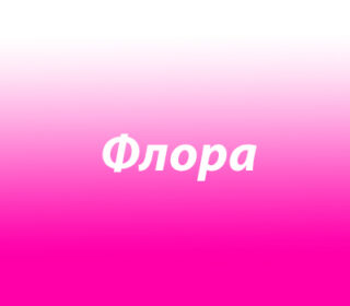 Флора