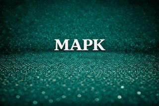 Марк