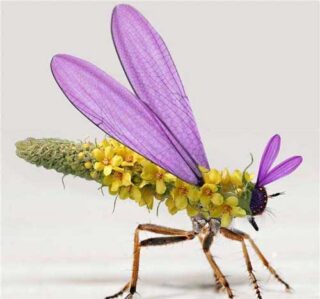 Пятничная подборка позитивных фото — цветы повсюду!