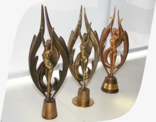 Мнения участников церемонии Национальный Приз 2010