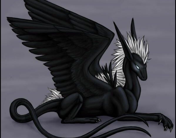 Что несет нам Новый 2012 год Дракона