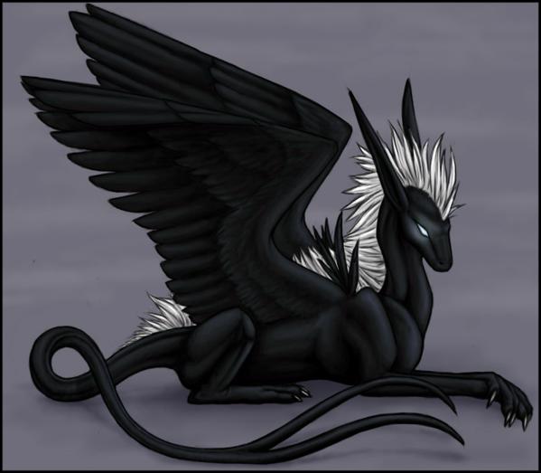 Что несет нам Новый 2012 год Дракона