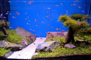 Самое опасное и интересное место в Москве