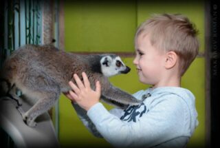 Интересные места Москвы для прогулки с ребёнком