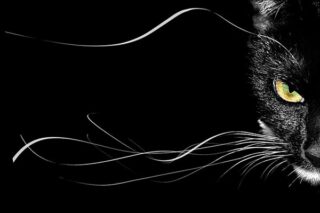 Приметы и суеверия: часть 1