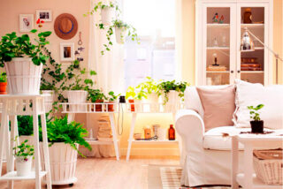 Цветочный интерьер: цветы в доме