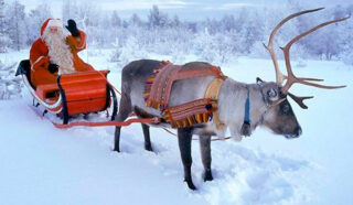 Путешествие в зимнюю сказку