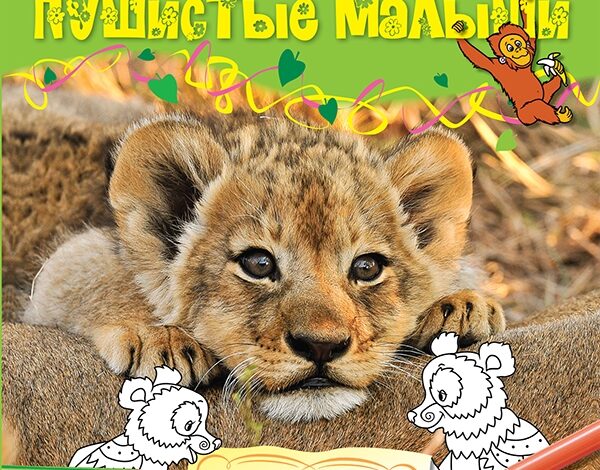 Раскраски для малышей