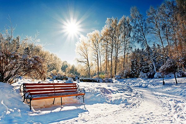 В парках Москвы появятся теплые скамейки