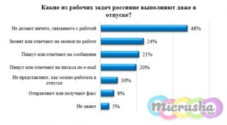 Россияне продолжают трудиться и читать новости в отпуске