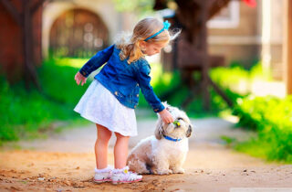 Как избавиться от нежелательных «жильцов»