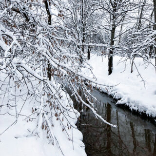 Сухая кожа зимой — что делать?