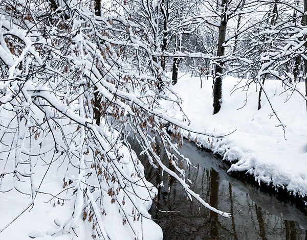 Сухая кожа зимой — что делать?