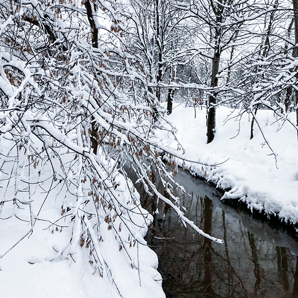 Сухая кожа зимой — что делать?