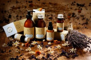 Fresh line: греческая история