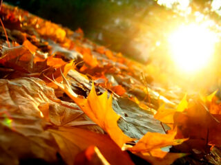 ТОП 5 процедур от осенней хандры