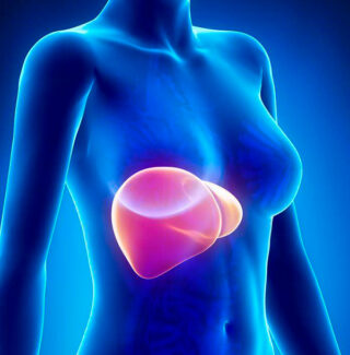 Солнечная печень