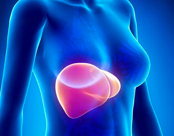 Солнечная печень