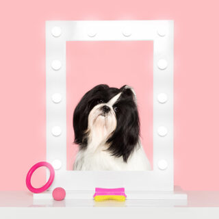 Pet Teezer — расчёска для питомца