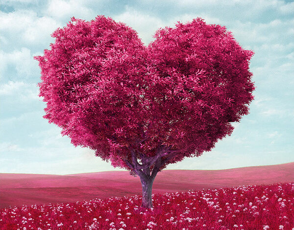 День святого Валентина в разных странах. Необычные традиции.