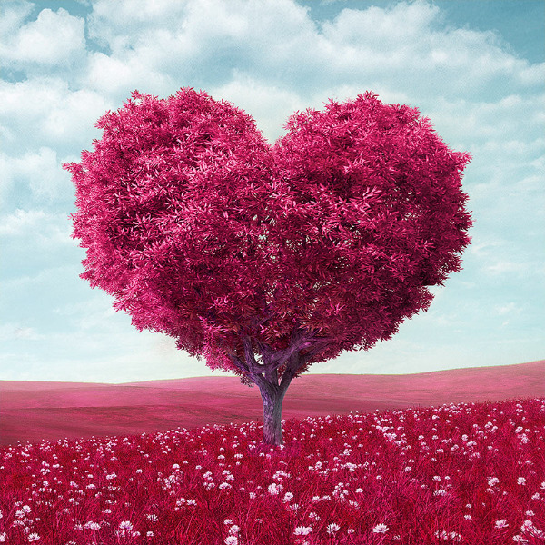 День святого Валентина в разных странах. Необычные традиции.