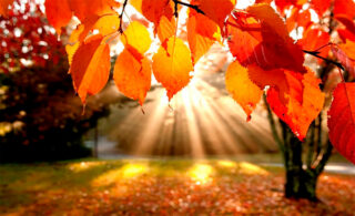 Фотоконкурс Осенняя пора