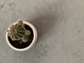 Фотофон под бетон своим руками за 200 рублей. Пошаговая инструкция.