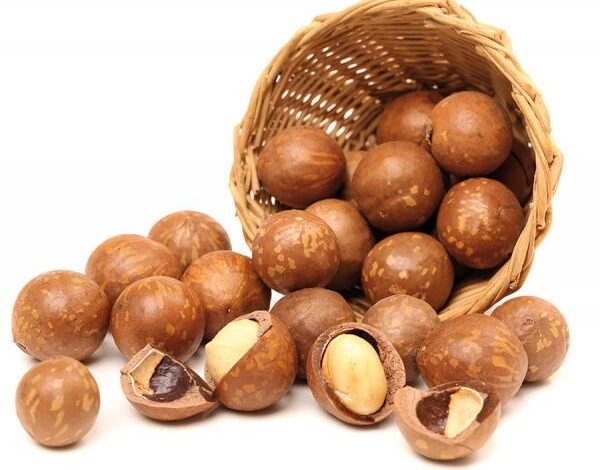 Орех макадамия: польза и вред дорогостоящего продукта.