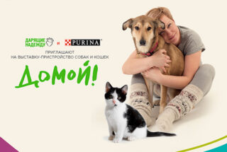 Возьми из приюта «Домой!»