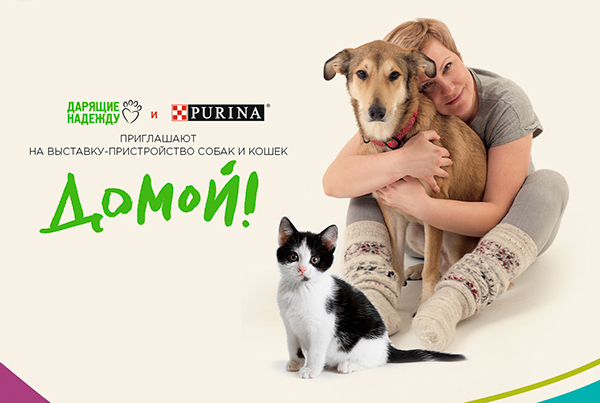 Возьми из приюта «Домой!»