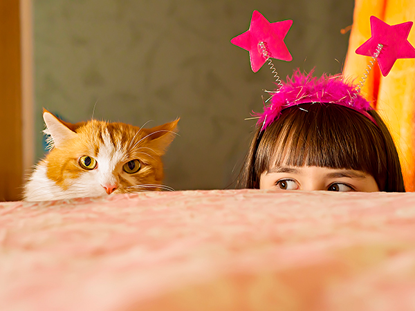 Остаёмся дома с кошкой: чем заняться во время самоизоляции