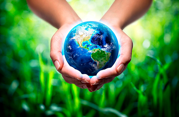 С заботой о будущем и друг о друге: главные социальные и эко-кампании осени