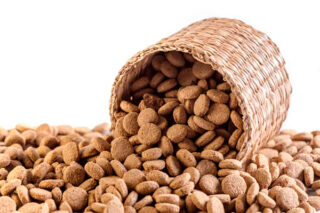 Как выбрать сухой корм для питомца? Лучшие корма для кошек и собак