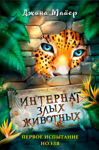 Джина Майер «Первое испытание Ноэля»