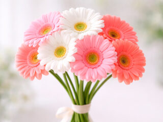 7 гербер что значит